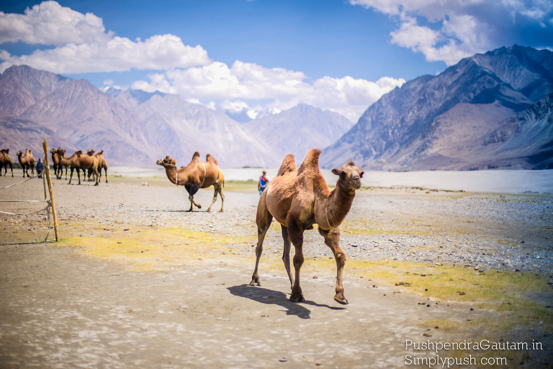 Leh-manali-road-trip-pics-manali-leh-route-plan-how-to-plan-a-trip-to-leh-manali-highway-on-bike-pushpendragautam-pics-event-photographer-india